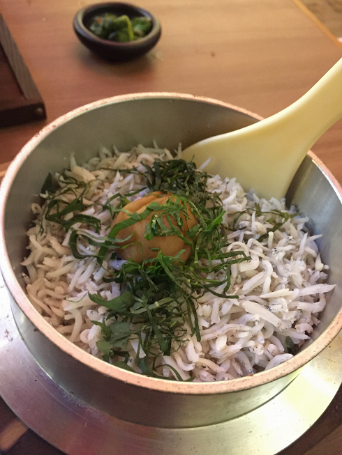 555shirasu.png