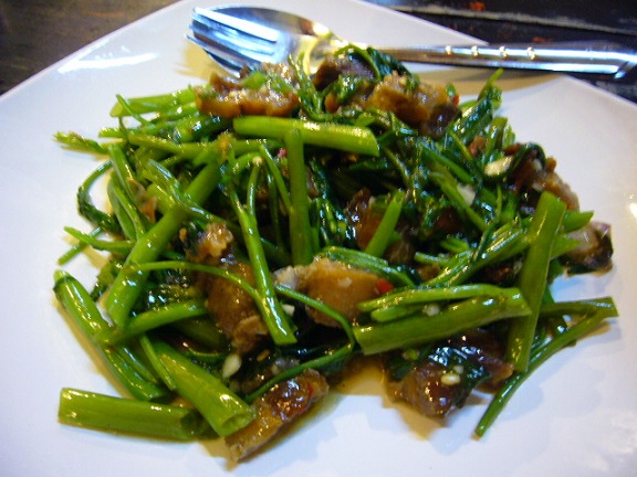 P1140674 いむちゃん 菜.jpg