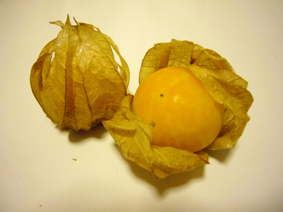 P1170035-1.jpg