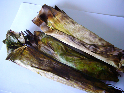 P1170111-1.jpg